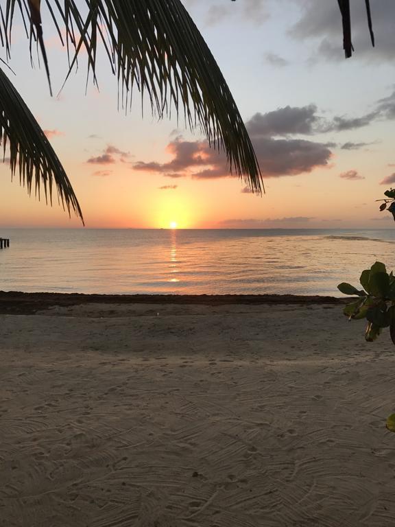 Lost Reef Resort Riversdale Buitenkant foto